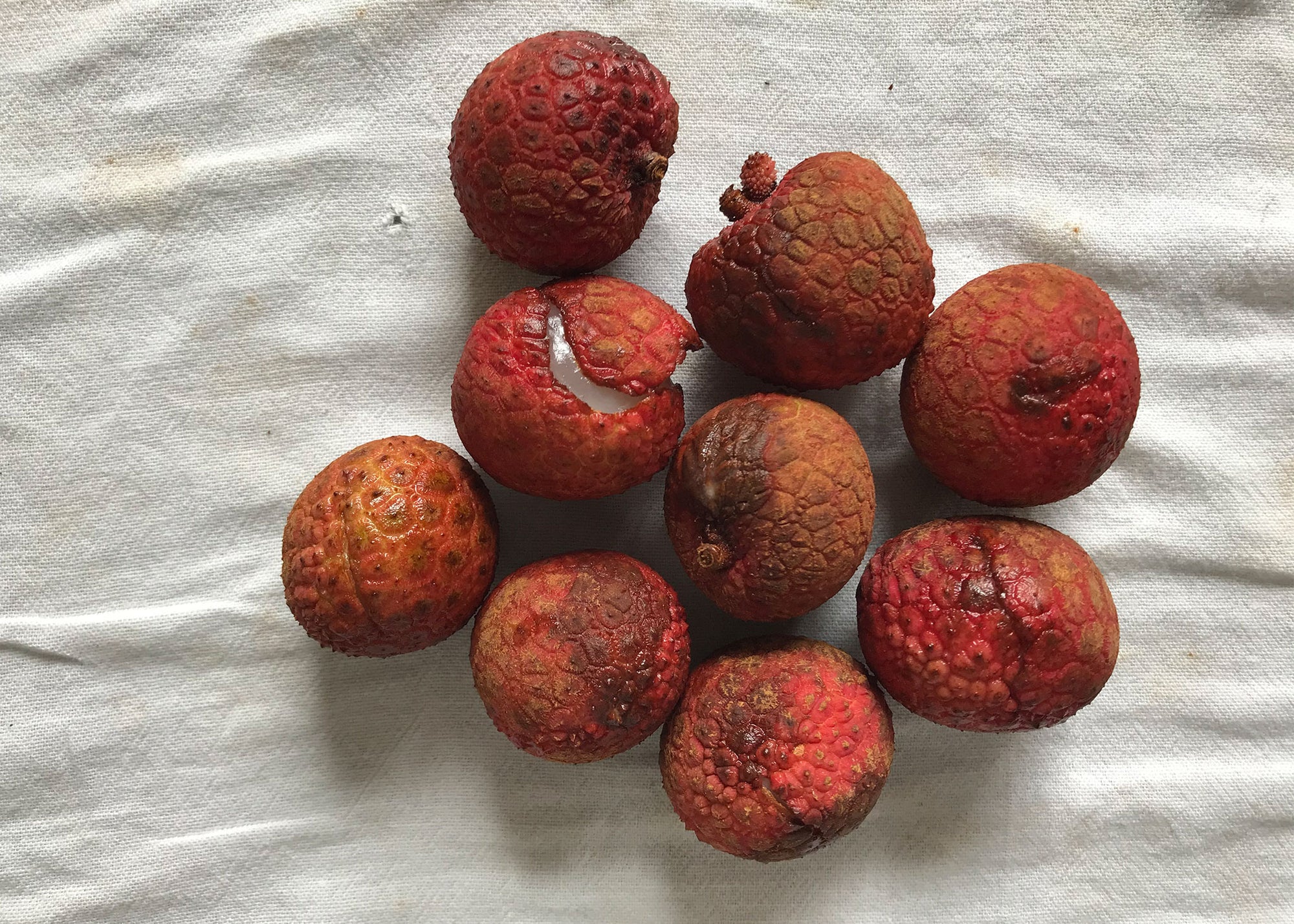 Several lychee that were bruised or split open during shipping. Image illustrated that it is expected to have a few fruits slightly damaged during shipping.