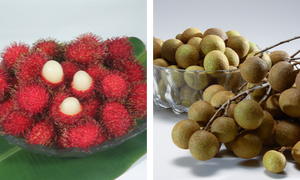Fresh rambutan and longan fruit from Hawaii. Sold as a package deal, one case of rambutan and one case of longan.
