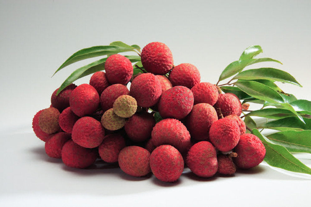 Fresh Kaimana Lychee fruit from Hawaii.